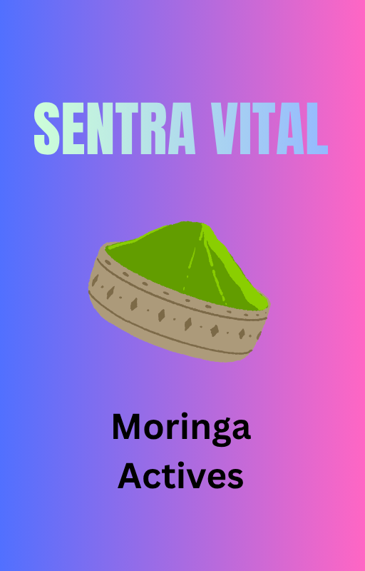 Moringa Guide – Anwendungstipps für deine Gesundheit