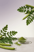 Moringa Guide